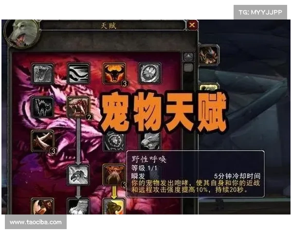 魔兽世界攻击强度提升攻略